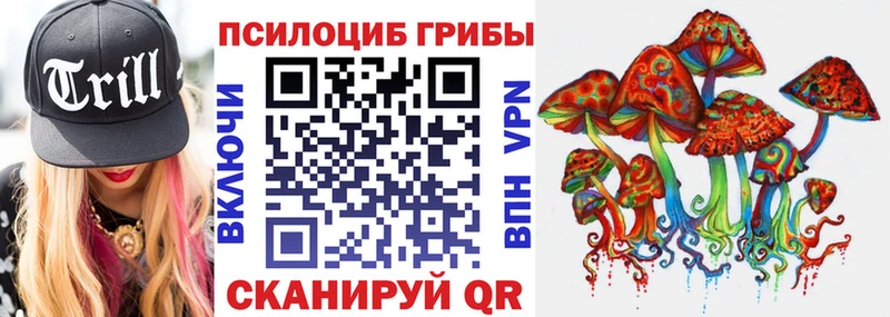 Псилоцибиновые грибы Cubensis  Полтавская 